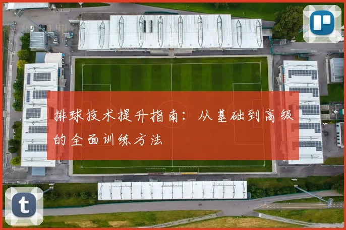 排球技术提升指南：从基础到高级的全面训练方法